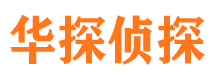 河口侦探公司